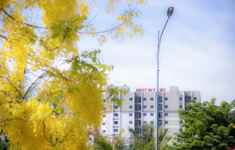Có con đường mang tên hoa Hoàng Yến tại khu đô thị Ecogarden 